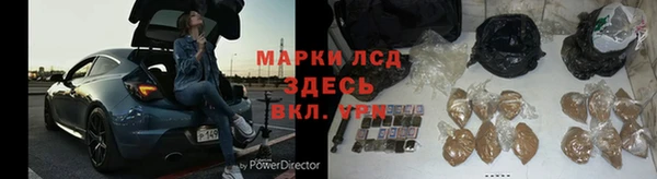 хмурый Алзамай