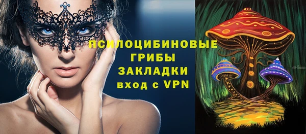 хмурый Алзамай