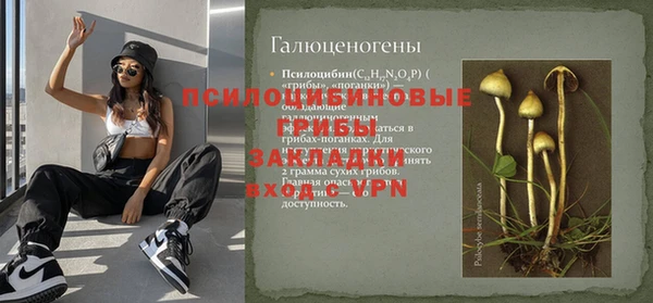 амфетамин Алексеевка