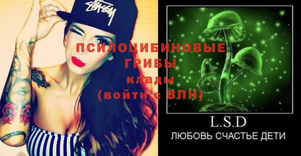 хмурый Алзамай
