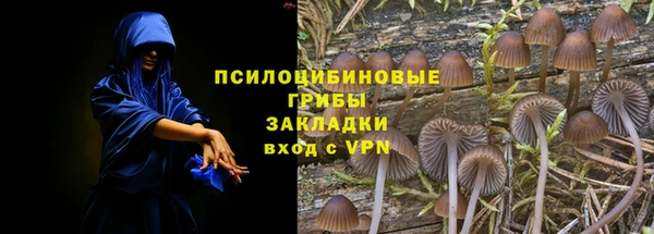 хмурый Алзамай