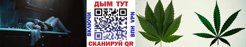 Канабис сатива Лысьва